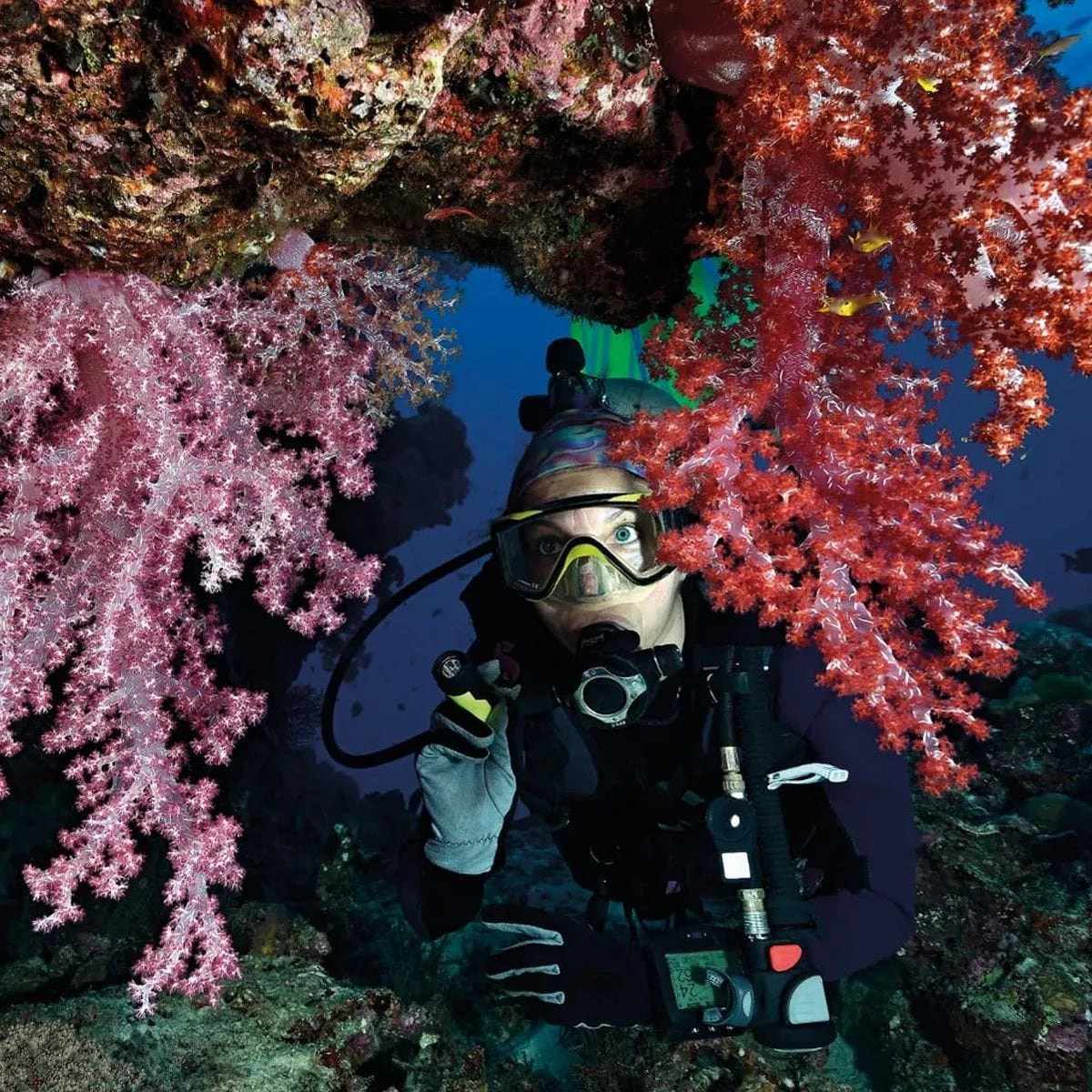 Princeton Tec 1L LED Hand Torch Black 4 Princeton Tec 1L LED Hand Torch Black - Image 2