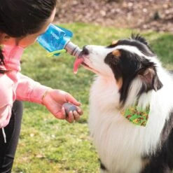 Vapur Ez Lick Portable Dog Water Anti-Bottle 700ml Water -Camp Furnish Sales Store Vapur Ez Lick Portable Dog Water Bottle 700ml Water 5 1200x1200